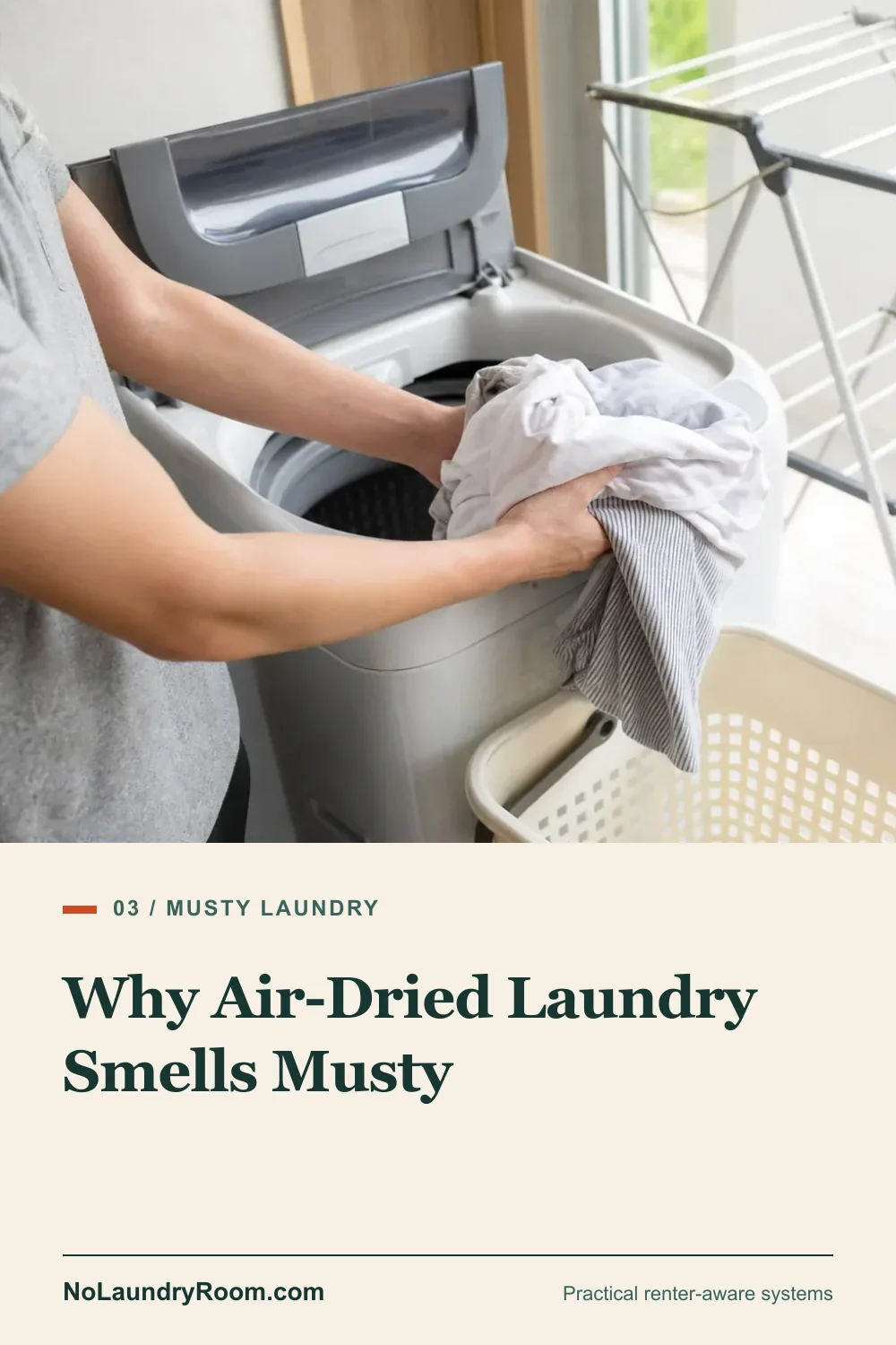 Pinterest guide graphic showing laundry moved promptly from a washer with the musty laundry title